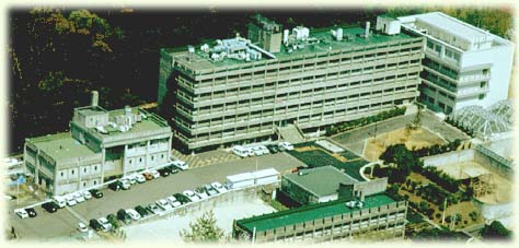 Air View of Primate Research Institute