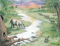  中期始新世の北米における環境変動と哺乳類の多様性の遷移