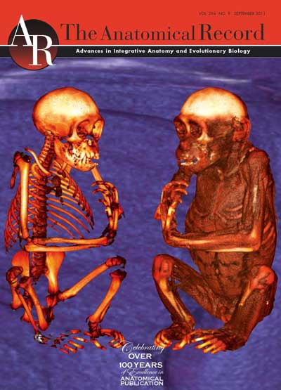 AR2011_cover 