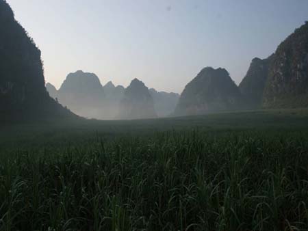 c_chonzou_008