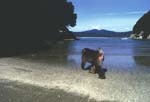 Koushima3