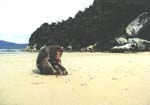 Koushima4