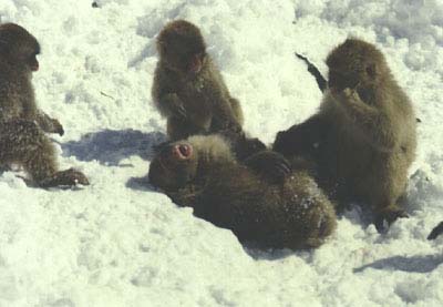 Winter11