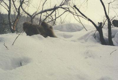 Winter12