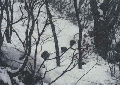 Winter3