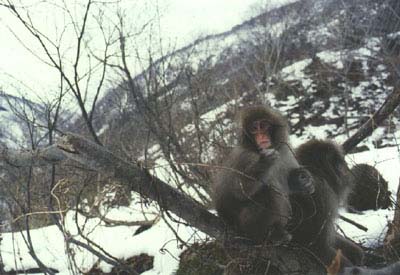 Winter5
