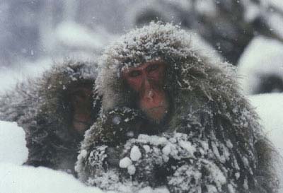 Winter7