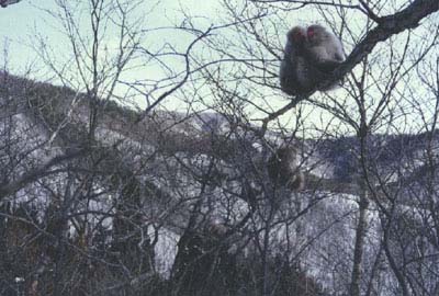 Winter8