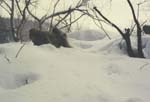 Winter12