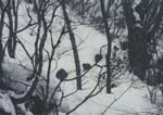 Winter3