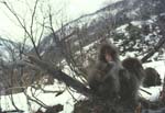 Winter5