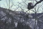 Winter8