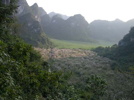 kousei_2008_006