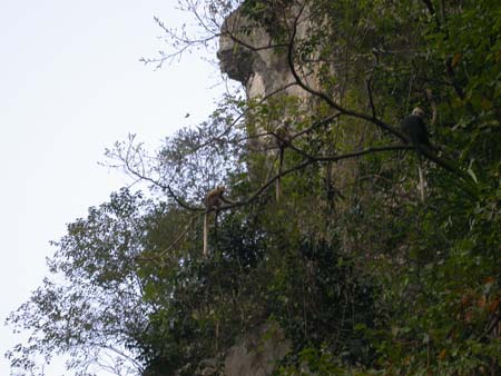 kousei_2008_008
